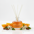 Orange & Cannelle reed diffuser 100ml geurstokjes – The Style Of Morocco